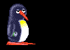 Ein kotzender Pinguin